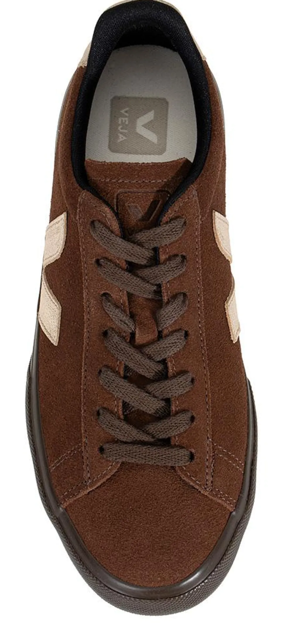 Campo dame CP0321810 brun