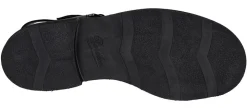 Iberis 164612-00