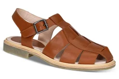 Iberis 164602-21