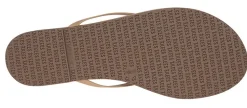 Sandal Lily Cocobutter
