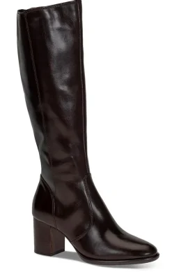 Støvlett Olimpia 5681